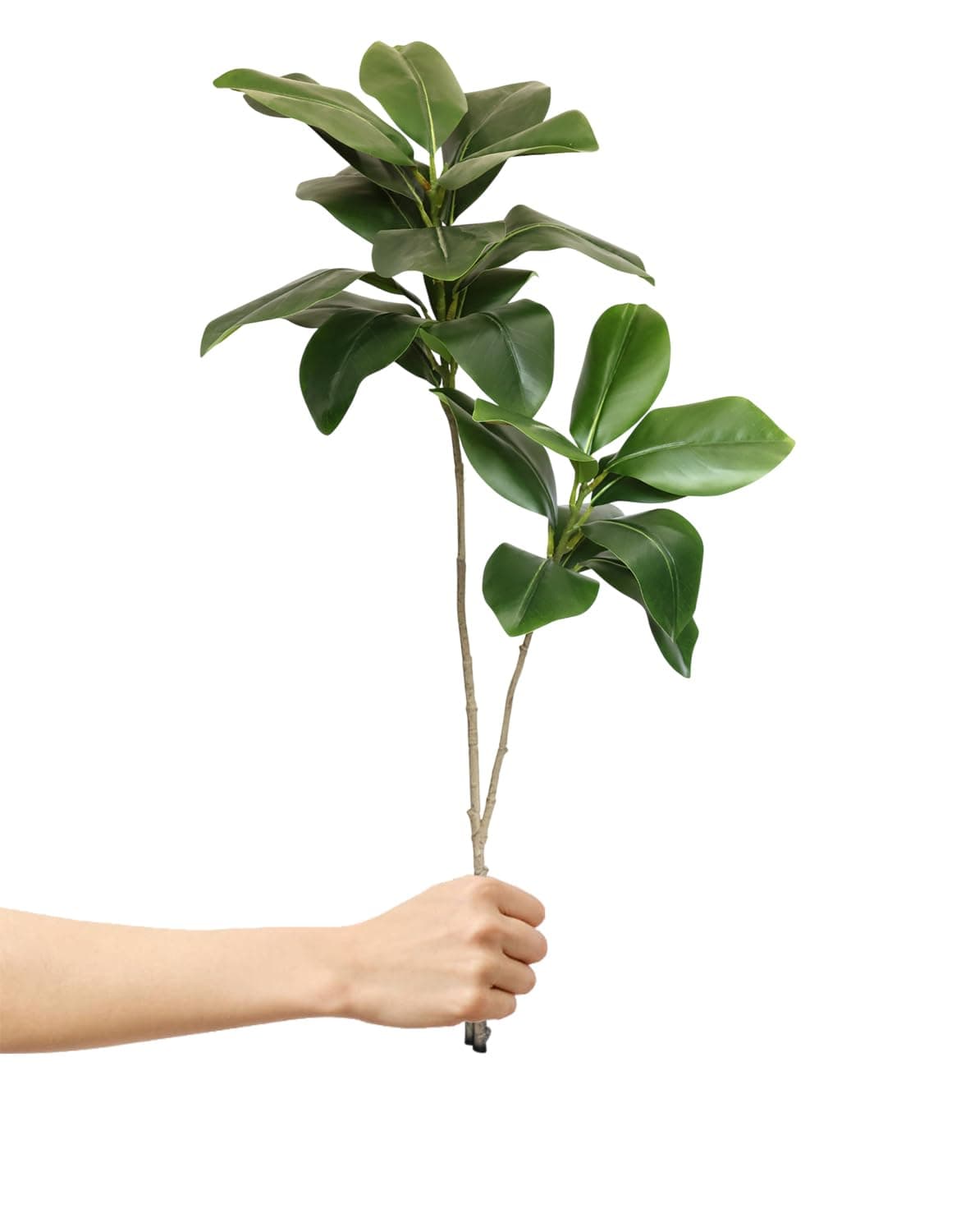 AAVANA GREENS 30 Inch Artificial Plant Philodendron Tropical Caladium Plant for Indoor and Outdoor, Home, Shop, Office, Restaurant Decoration Dark Green (Pack of 1) (1, Plant 3 - Without Pot)