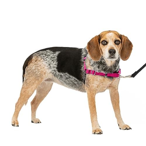 PetSafe Easy Walk Harness for Dogs - Pull-Free Walks - Martingale Loop Design - Front Chest Leash Attachment - Adjustable Comfort Straps - Breathable Harness Design - Small/Medium, Raspberry/Gray