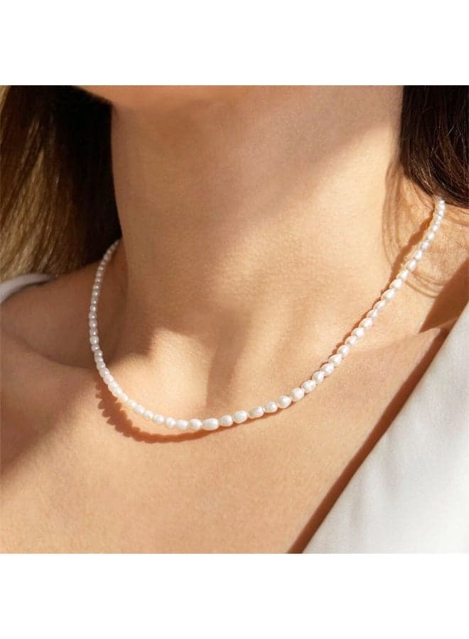 Imitation Pearl Necklace – Niche Oval Pearl Choker Clavicle Chain Fashion Jewelry