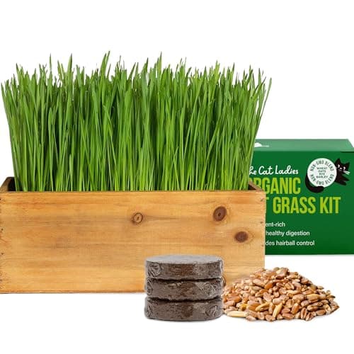 The Cat Ladies Cat Grass Kit with Rustic Wood Planter, Seed and Soil. Easy to Grow for Indoor or Outdoor Cats, Dogs and Other Pets. Prevent Hairballs and Aid Digestion
