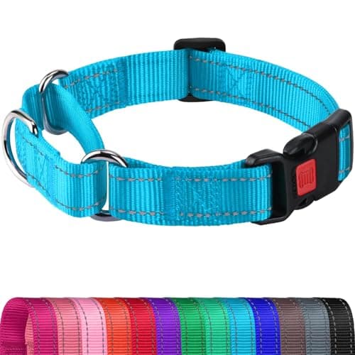 Joytale Martingale Collar for Dogs, Reflective Escape Proof Training Dog Collars with Safety Lock Buckle, No Slip Soft Nylon for Medium Pets, Sky Blue, M