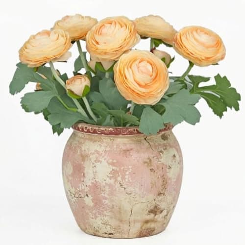 Artificial Ranunculus Flowers with Real Touch StemSilk Ranunculus Flowers Champagne 6pcs