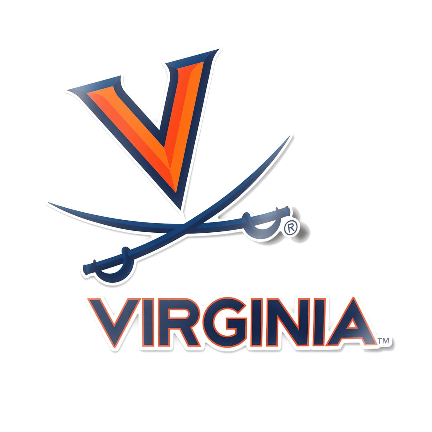 Desert Cactus University of Virginia Sticker Cavaliers UVA Vinyl Decal Laptop Water Bottle Car Scrapbook 4 Inch Set V1
