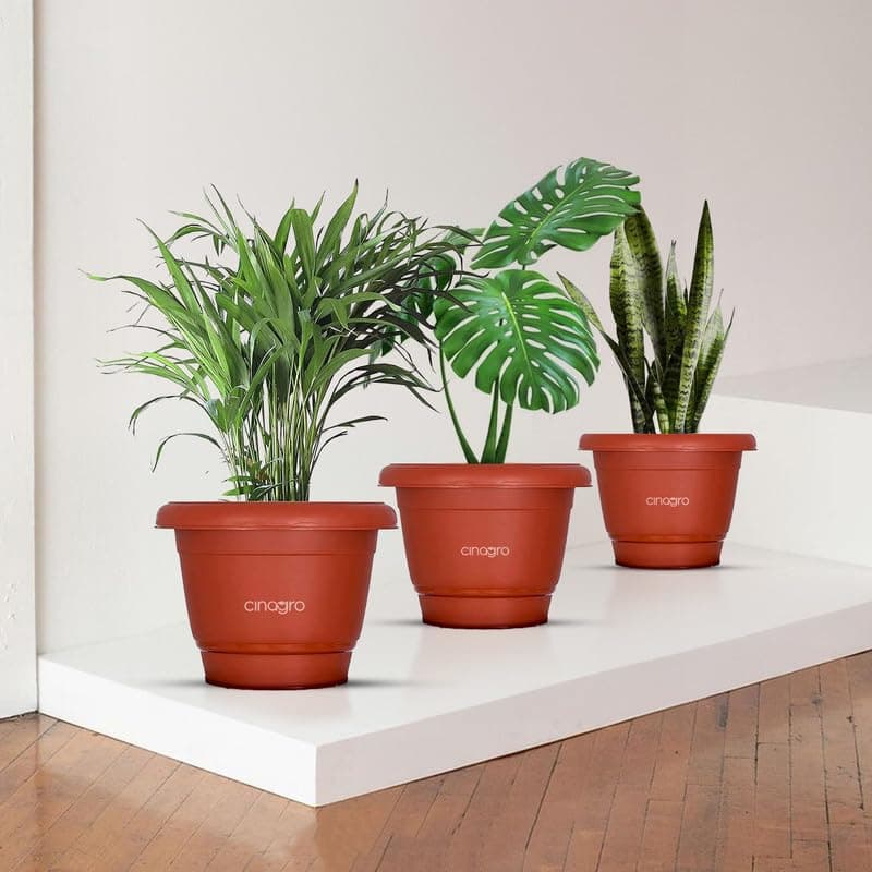 CINAGRO Plastic Round Pot, 6 inch - Pack of 3, Fits 5.5 inch Bottom Tray, Gamla Pot, UV Protected Planter, Heavy-Duty, Durable Plant Container, Gamla for Indoor Home Decor & Outdoor Garden