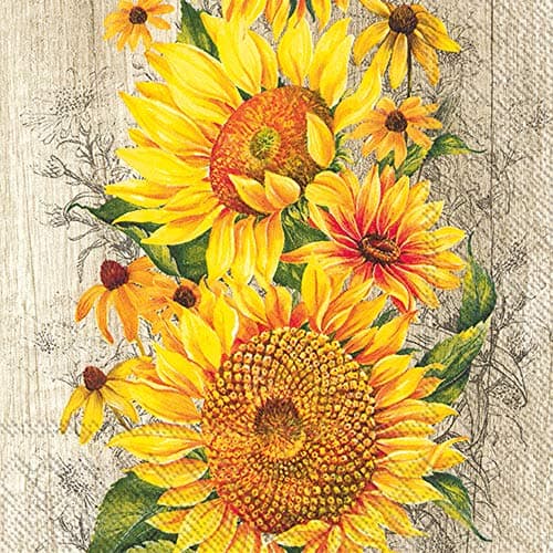 IHR Ideal Home Range Cocktail Napkins Disposable 3-Ply Paper Party Napkin Pack, 5" x 5", Le Tournesol (Light Brown), 20-Count