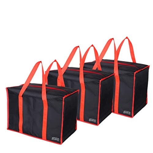 DOUBLE R BAGS Large Multipurpose Storage Bag for Clothes,Document Toy Storage Organizer with zip and strong handle (22.5x14.5x16 inch) (Set of 3)