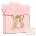 JMANNI Pink Gift Bags with Handles Valentines Gift Bags with Tissue Paper 1PCS Gift Bags with Ribbon and 1 Cards 2 Tissue Paper for Valentines Day Baby Shower Birthday Party Wedding Mothers Day