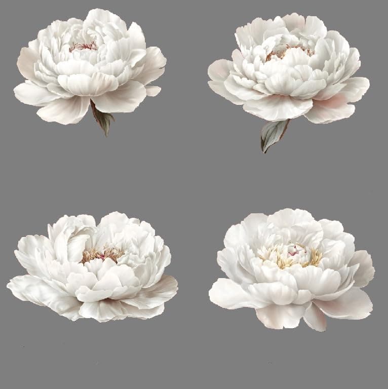 4 White Peony Flower Car Sticker Floral Car Sticker White for Car Bumper Window Laptop Decorative Floral Decal Waterproof Removable Weatherproof 4PC White