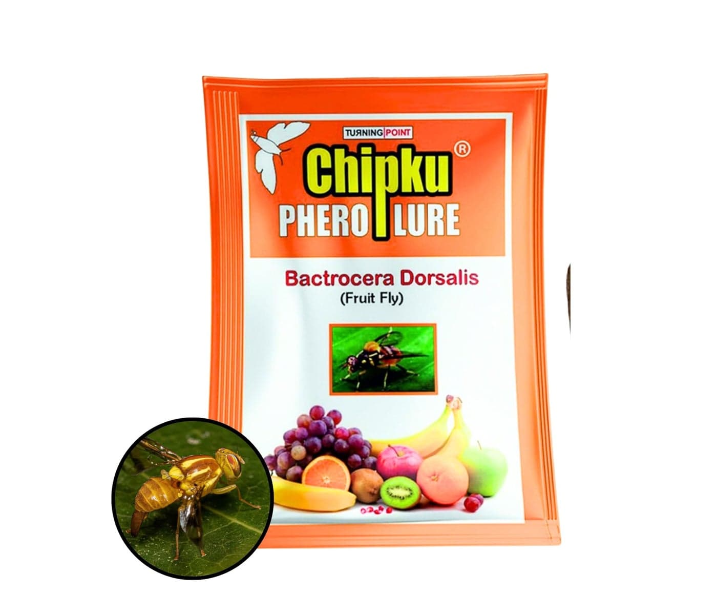 Chipku Fruit Fly Lure Pack Of 50 For Fruit Fly Insect Trap For Agriculture For Bactocera Dorsalis Pheromone Fruit Fly Lure For Mango Tree,Papaya, Guava,Chiku,Citrus