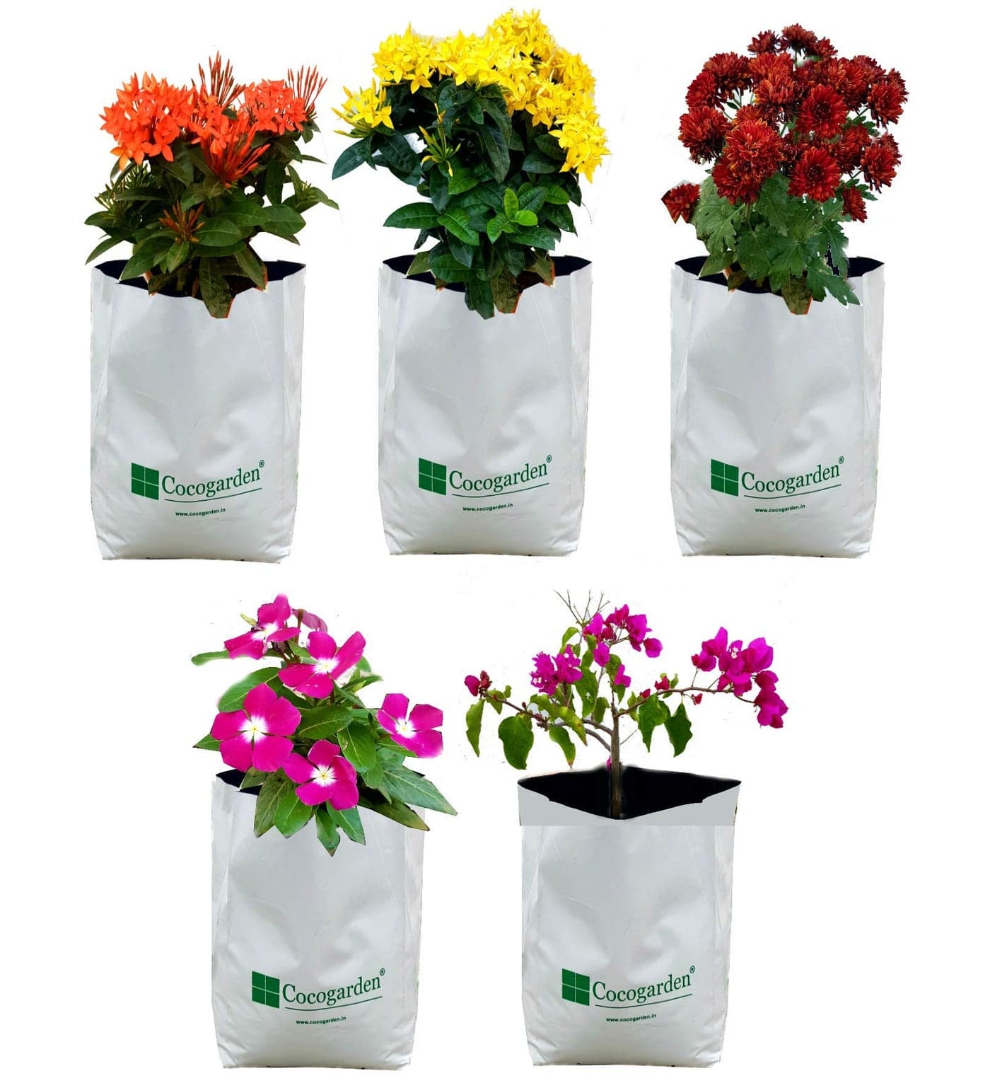 cocogarden UV Treated Poly Grow Bags for Terrace Gardening (20 x 20 x 40) cms (White, Pack of 5) | Home Gardening Plant Container Bag for Leafy Vegetable and Flower Plants
