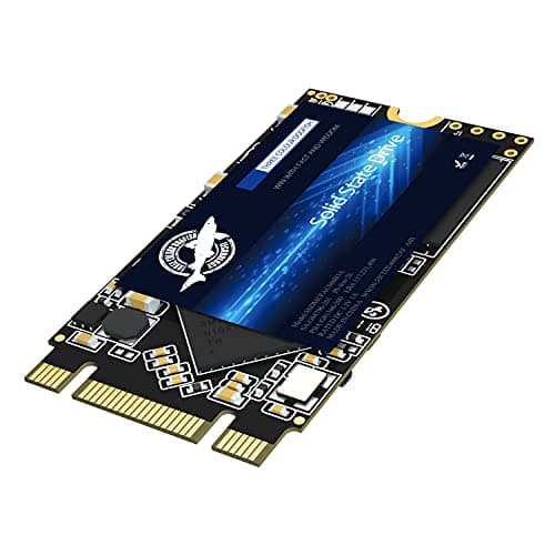 Dogfish M2 2242 250GB SSD SATA III 6Gbs High Performance Internal Solid State Drive for Desktop Laptop