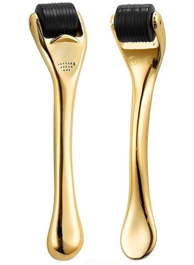 Derma Roller Titanium 540 Micro-needle Roller 2pcs Set - 0.25mm and 0.5mm