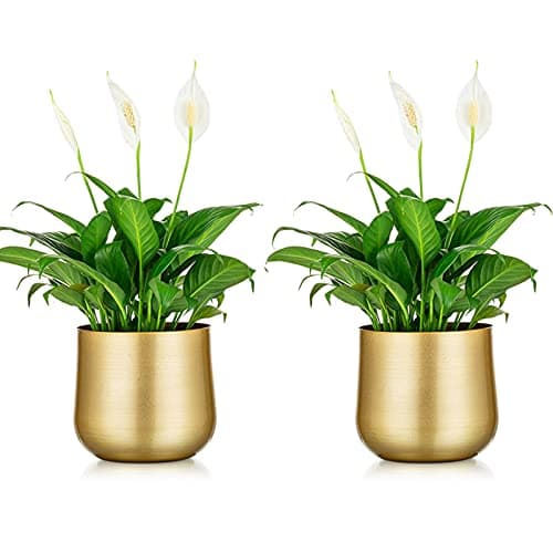 Nuptio 2 Pcs Plant Pot Gold Vase Metal Flower Pot Vase with Drainage Hole, Modern Storage Organizer Decorative Gifts for Wedding Indoor Outdoor Living Room Balcony Decoration Floor Display