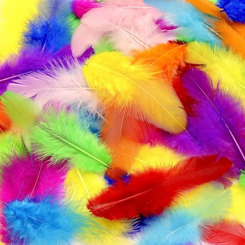 800Pcs Colorful Craft Rooster Feathers 35inch Bulk Feathers for Crafting Kindergarten DIY Crafts Wedding Family Party Decorations Dream Catcher Supplies Natural Feathers