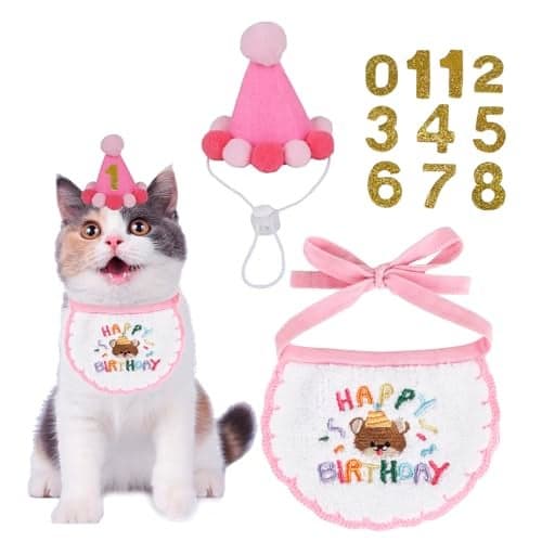 PTDECOR Cat Birthday Party Supplies, Pink Hat with Numbers Cat Bandana Pet Decorations for Kitten Birthday Outfits (Pink)