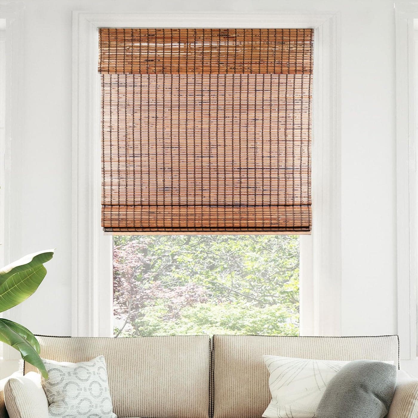 CHICOLOGY Bamboo Roman Shades Smart Choice EcoFriendly Light Filtering Blinds for Windows Premium Quality Ideal for Home Beaver 47W X 64H
