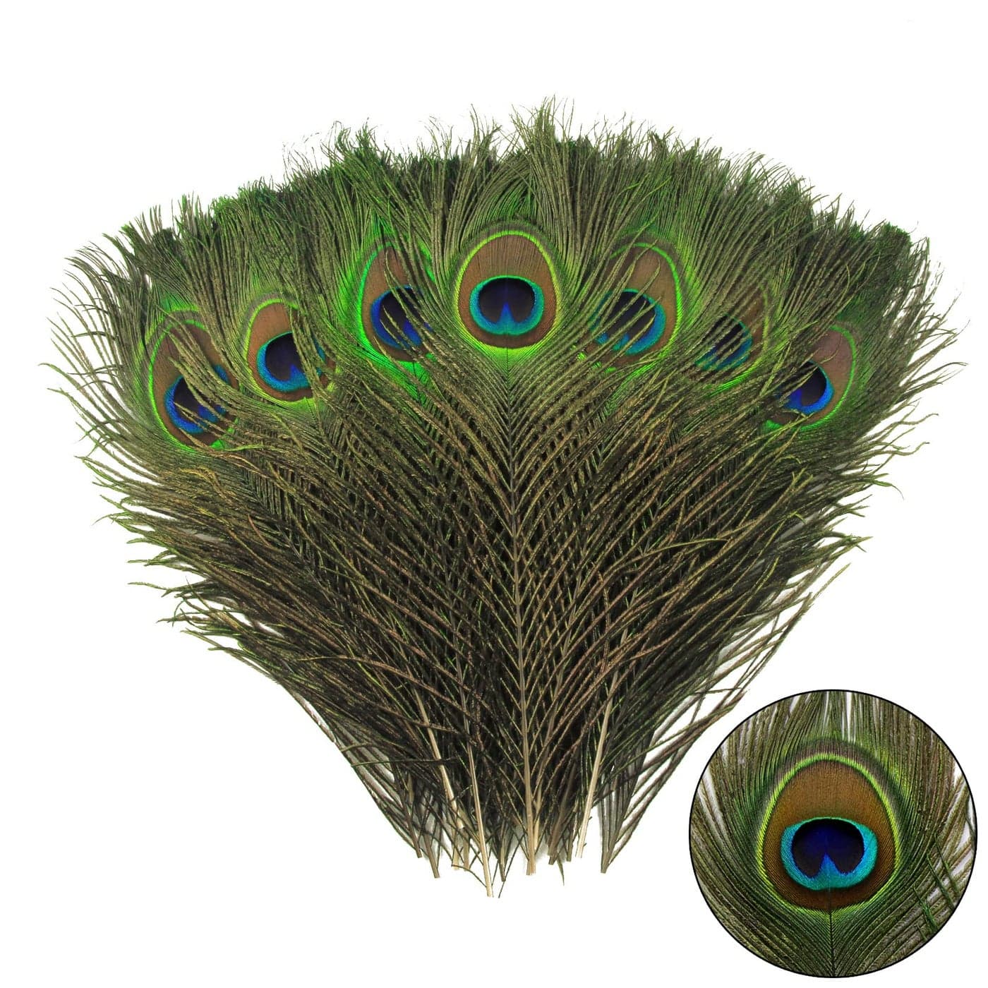 THARAHT 24pcs Peacock Feather Natural in Bulk 1012 inch 2530cm for Vase Craft Vase Wedding Home Party Christmas Day Decoration Peacock Feathers
