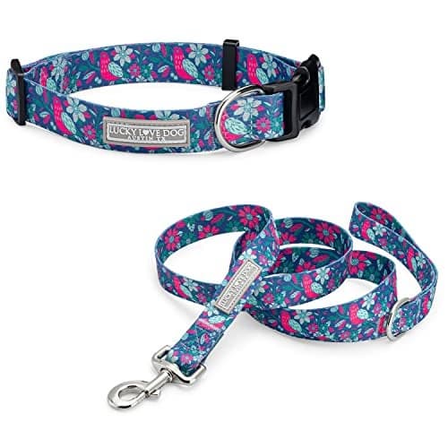 Lucky Love Dog - Adjustable Collar and Leash Set with Easy Click Buckle for Small Dogs, Durable, & Comfortable Collar for Male & Female Dogs, Puppies & Adult - CarrieBelle Combo, XS