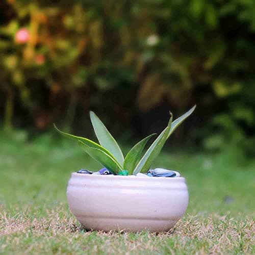 Lasaki Bowl Small White Ceramic Pots for Indoor Plants, Planters, Flower, Pots, gamla, Outdoor, Balcony, Home, Garden, Office Decor, Succulent Pot(D - 15 X H - 8 cm)(Plants not Included)