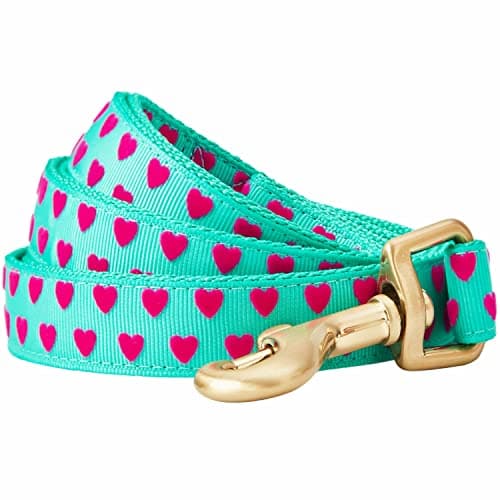 Blueberry Pet Valentine's Day Dog Leash, Velvety Soft-Touch Heart Flocking Lead for Small Dogs, Minty Green, 5 ft x 5/8"
