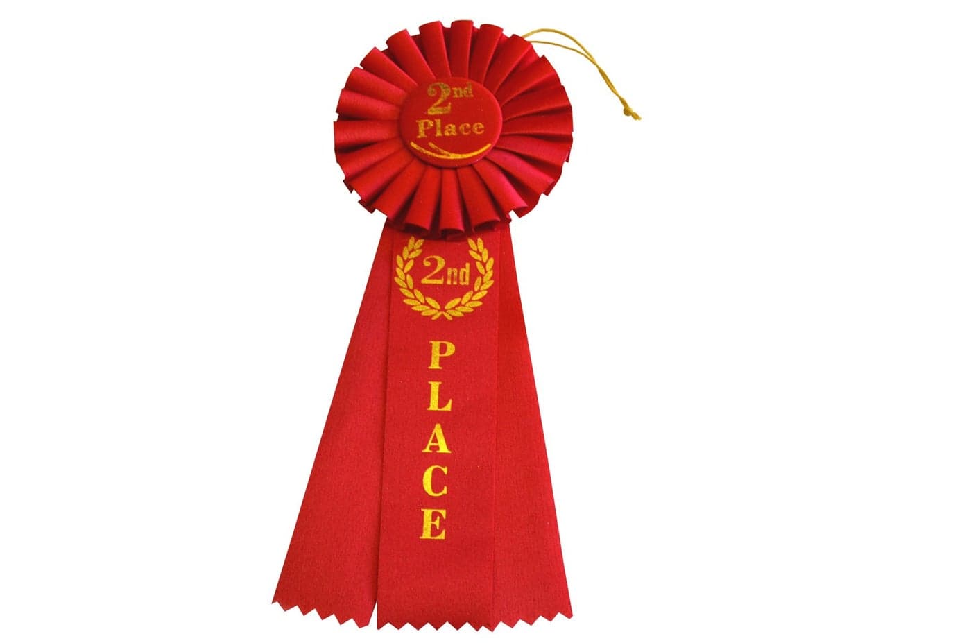 Hayes Specialties Corp 2nd Place Rosette Ribbon