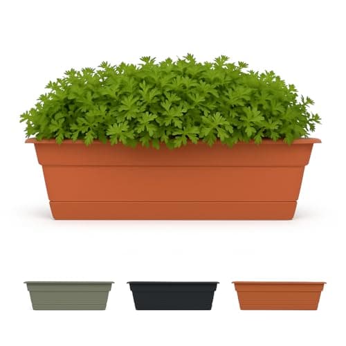 Bloem Dura Cotta Window Box Planter: 18" - Terra Cotta- with Tray, Weatherproof Resin Box, Removable Tray for Indoor & Outdoor Use, Gardening, 2 Gallon Capacity
