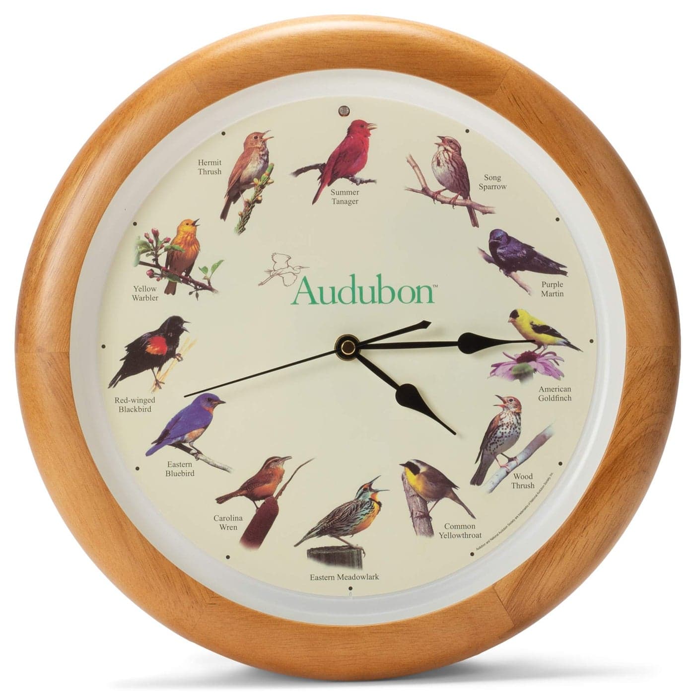 Mark Feldstein Audubon Singing Bird Wall Clock Oak Wood Frame 13 Inch