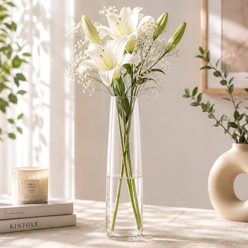 Tied Ribbons Glass Vase for Flowers & Plants (Transparent, 29 cm X 8 cm) - Living Room Glass Vase Pot for Water Plants Home Décor Dining Table Decoration Bedroom Hall Aesthetic House Warming Gift