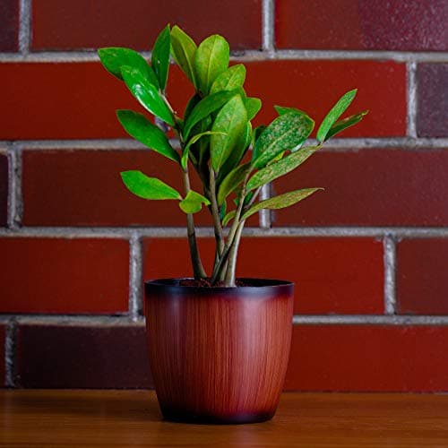 garbnoire Gardening Flower Pots - 5 Inch Plastic Flower Pots | Modern Decorative Indoor Outdoor Planters/Pots - Pack of (3, Wooden)