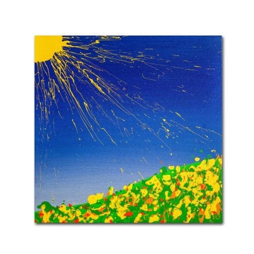 Trademark Fine Art Sunny Field Artwork by Roderick Stevens, 14 by 14-Inch