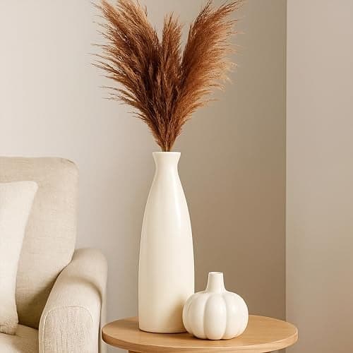 Aabco Unique Shape, Ceremic Vase for Living Room, Home Decoration Items for Living Room, Flower Vases for Home, Office & Table Decor (Plain Bottle Vase)