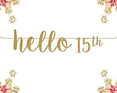 Festiko®Hello 15th Glitter Banner Birthday Banner Happy Birthday Glitter Party Decorations Photo Prop 15th Celebrate