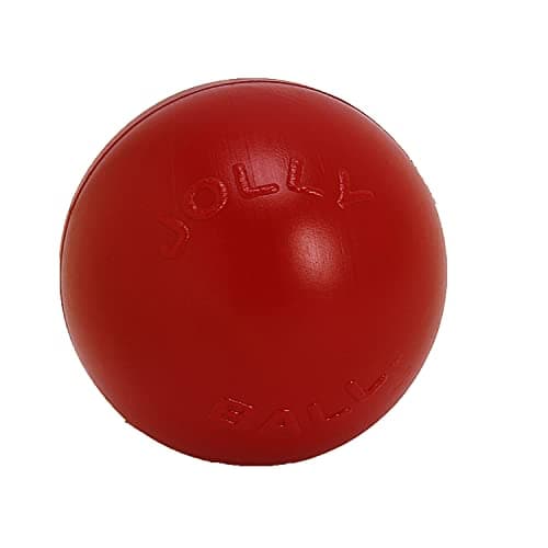 Jolly Pets PushnPlay Ball Dog Toy 10 InchesLarge Red 310 RD