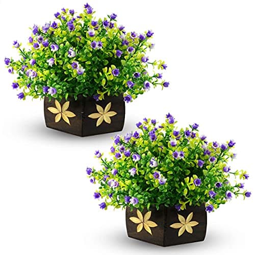 Reiki Crystal Products Beautiful Artificial Plants with Pot | Bonsai Plant & Tree | Bonsai Tree for Indoor with Wooden Pot for Office Home Decor Showpiece (Pack of Combo 2 pc)