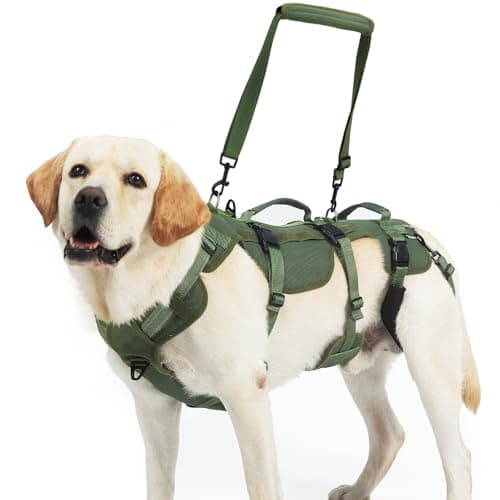 PUPTECK Dog Lift Harness for Medium Large Sized Dog, Rehabilitation Sling for Hind Leg Support, Multifunctional Mobility Assistance Harness for Old, Disabled, Joint Injuries, Paralysis Dogs, Green M