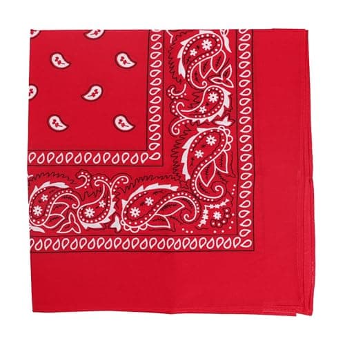 Motique Accessories 22 Inch Cotton Paisley Bandana - Red