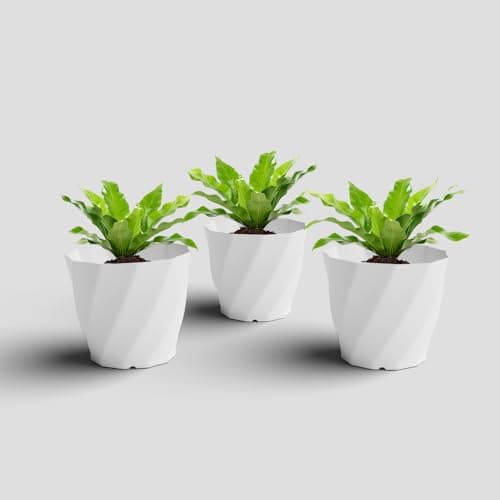 YUCCABE ITALIA SHERA Swirl 8 Inch Plastic Flower Pot Set of 3 Pices Round Planter Pot Plastic Gamle Suitable for Indoor and Outdoor (White)
