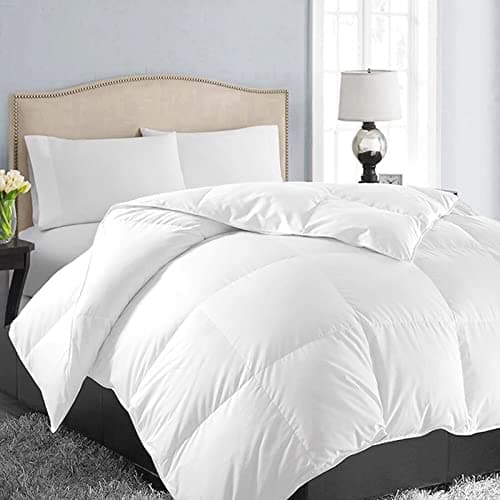 EASELAND All Season Queen Size Soft Quilted Down Alternative Comforter Reversible Duvet Insert with Corner TabsWinter Summer Warm FluffyWhite88x88 inches