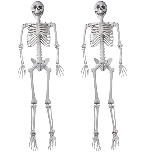 2Packs 54ft Halloween Human Skeletons Life Size Full Body Bones with Movable Joints for Halloween Props Spooky Party Decoration