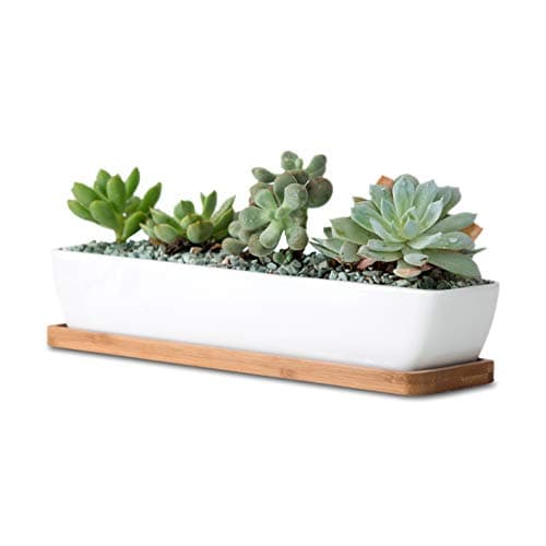 WISH HALLY WOOD 11inch long rectangle White Ceramic Succulent Planter PotsMini Flower Plant Containers with Bamboo Saucers Product size11x236x177inchnot include The plant long rectangle