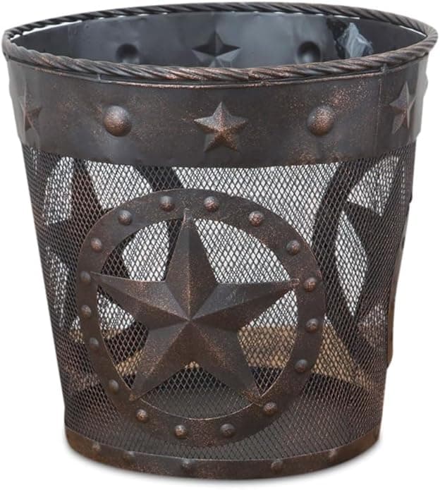 DeLeon Collections Western Star Rope Trim Metal Wastebasket