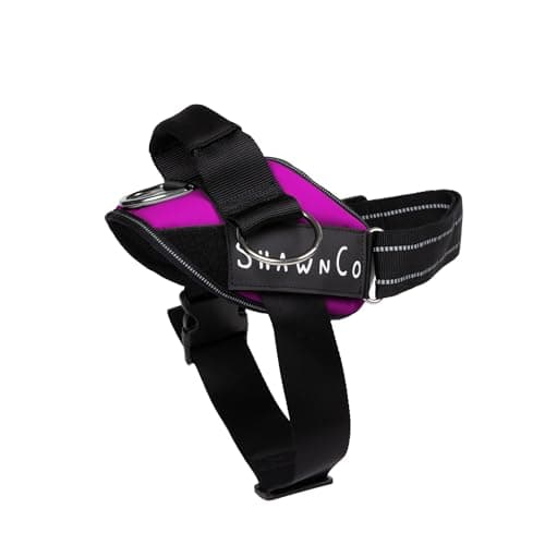 ShawnCo Essential Pro Dog Harness, No-Pull Pet Vest with 3 Leash Clips and Removable, Reflective Side Patches, Adjustable and Padded Harness for Small, Medium and Large Dogs (Orchid, S)
