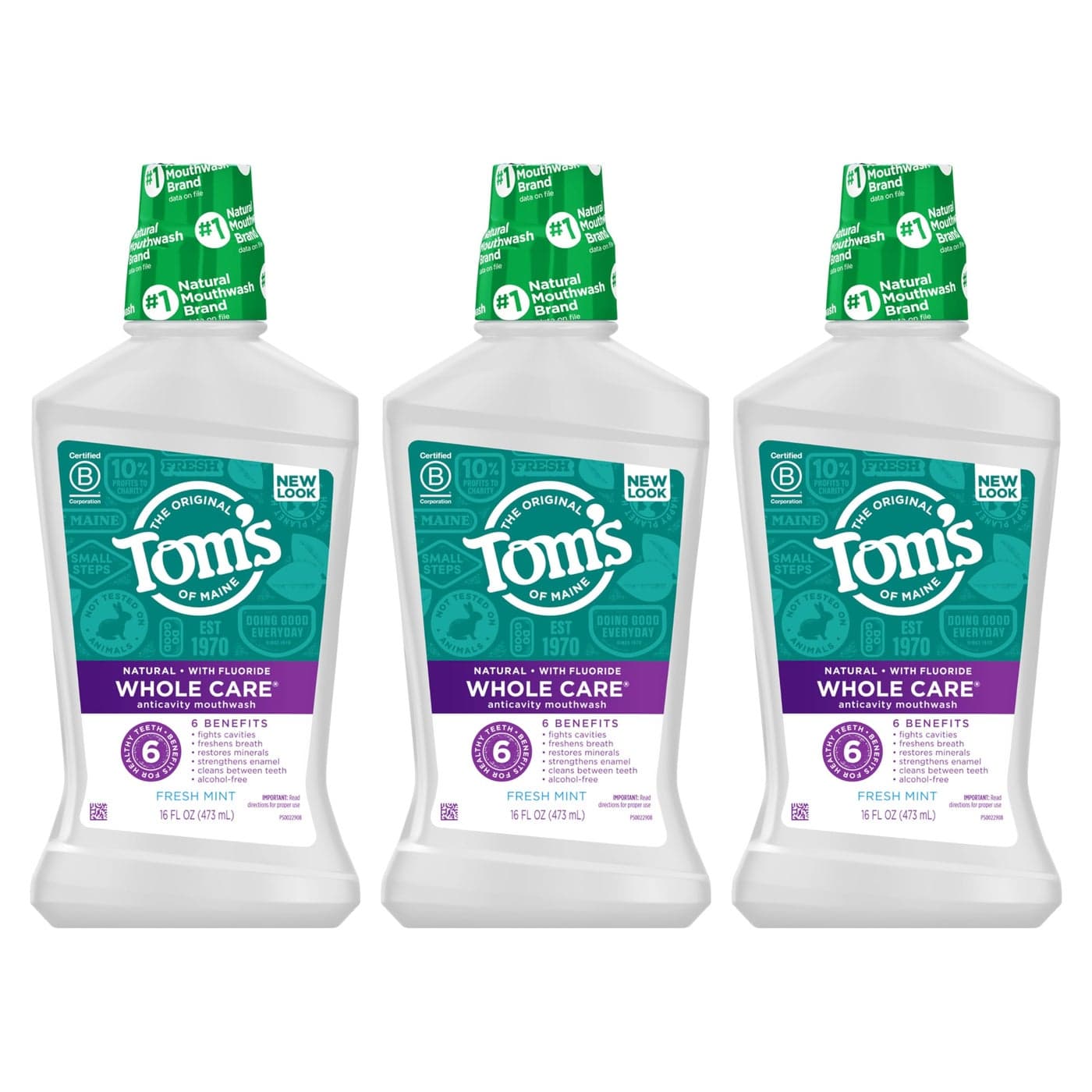 Toms Of Maine Whole Care Natural Fluoride Mouthwash Fresh Mint 16 Oz Pack of 3 Packaging May Vary