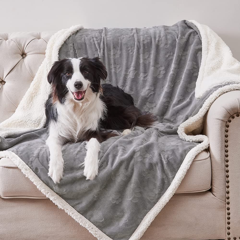 Qeils Waterproof Blanket for Bed Intimacy Dog Blankets for Large Dogs Waterproof Cat Blanket Washable Soft Sherpa Fleece Puppy Blanket Reversible Throw Protector for Couch Car 50X60 Grey