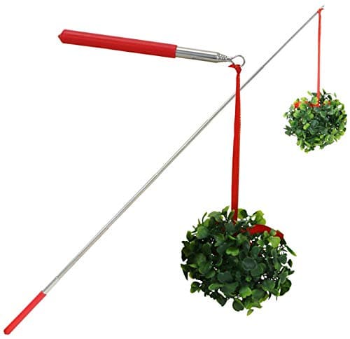 Iconikal 2Pack Extendable MistletoeOnAStick Funny Christmas Gag Gift Photo Booth Prop Holiday Joke