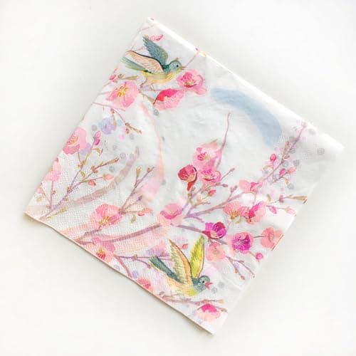 Colored Paper Napkins, 20 Count Shabby Chic Napkins for Wedding, Dinner Tea Party Shower (Magpie)
