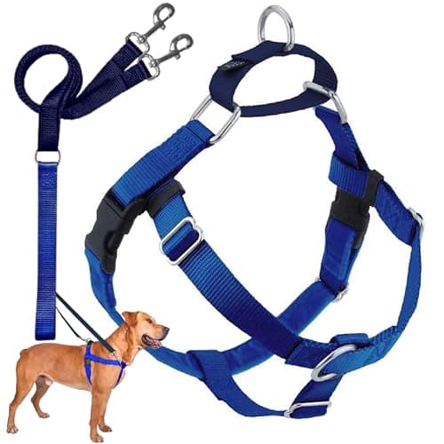 2 Hounds Design Freedom No Pull Dog Harness, Adjustable Harness and Leash Set, Easy Walking & Comfortable Control, Fits Small, Medium & Large Dogs, Solid Colors, Made in USA, 1" MD, Royal Blue