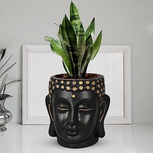 Lasaki Buddha Head Black 6-inch Ceramic Pots for Indoor & Outdoor Plants | Decorative Balcony, Garden & Office Succulent Pot | Unique Spiritual Gamla Plant Holder (H -15.5 X D-16 Cm)
