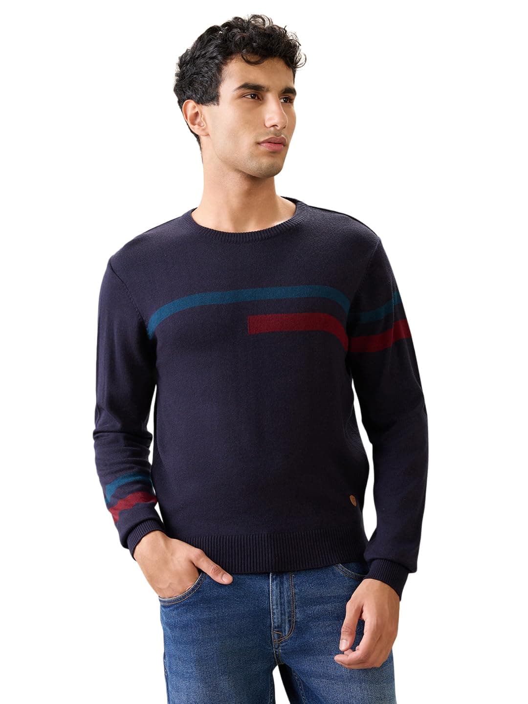 Raymond Men Full Sleeve Regular Fit Stripe Pattern Acrylic Wool Blend Round Neck Casual Sweater Black