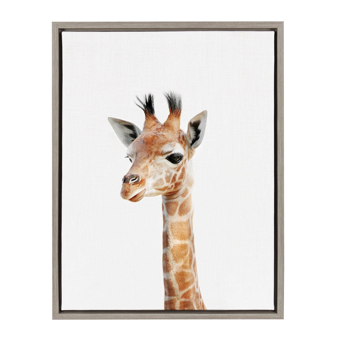 Kate and Laurel Sylvie Baby Giraffe Animal Print Portrait Framed Canvas Wall Art by Amy Peterson 18x24 Gray
